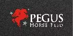 Pegus logo on black